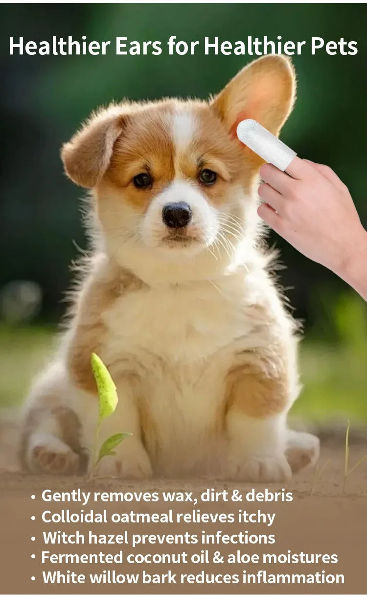 Finpaws korvanpuhdistusliinat Kissoille ja Koirille – Pet Ear Cleaning Wipes | Gentle Daily Ear Care - FinPaws
