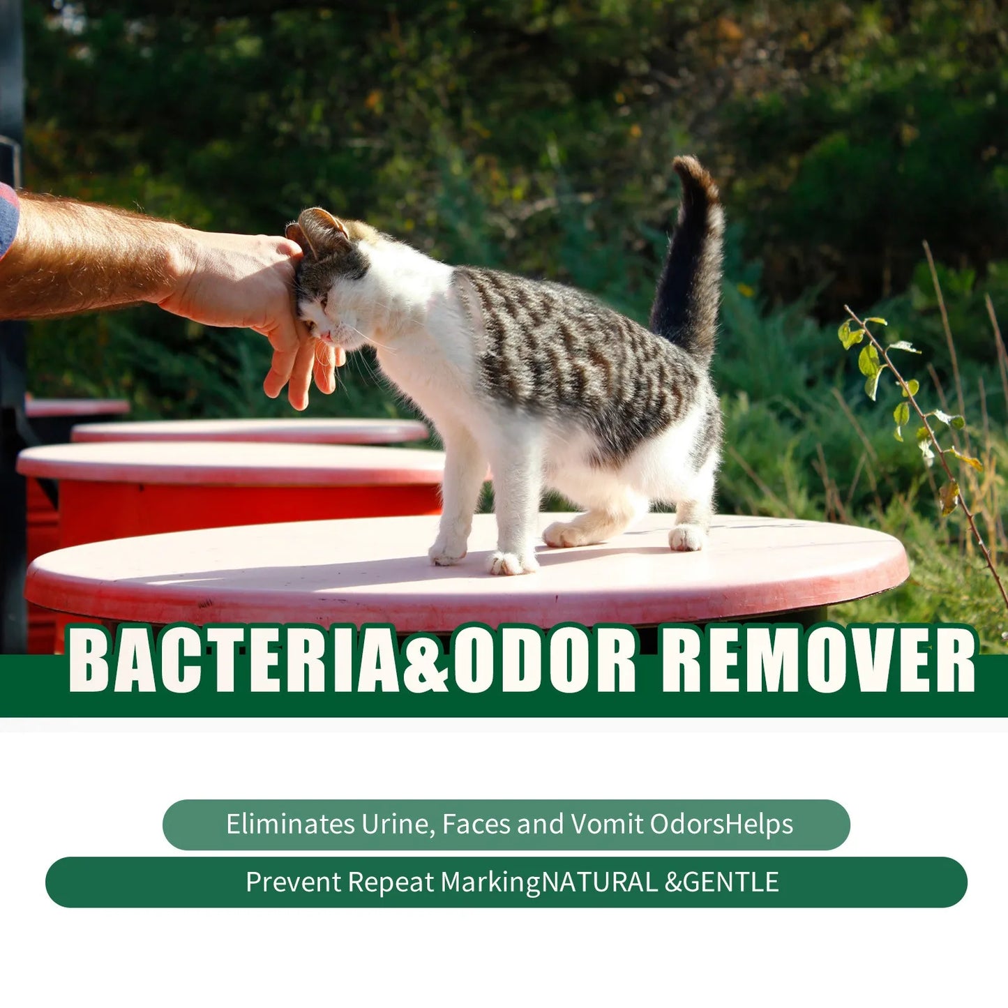 FinPaws Pet Deodorization Spray 50ml – Dog & Cat Perfume with Lavender Oil, Anti-Itch & Fresh Fragrance