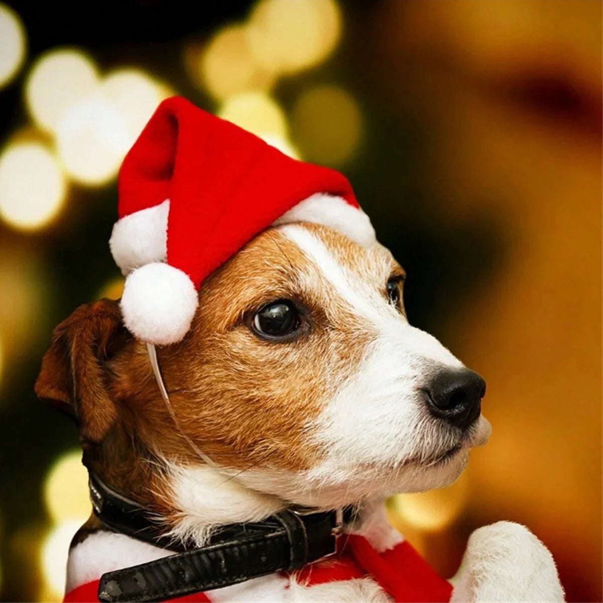 Pet Christmas Hat – Pehmeä Jouluhattu Kissoille & Koirille (1–3pcs Set) - FinPaws