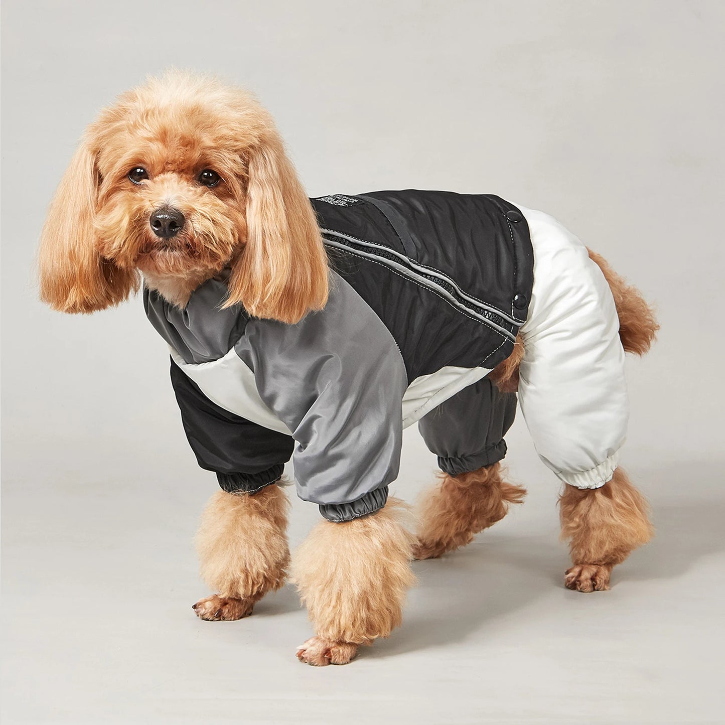 Winter Dog Jacket Warm Thicken Cotton Clothes With Traction Ring Dog Windproof Coat Medium Large Dogs Outdoor Cold Proof Clothes (Copy)