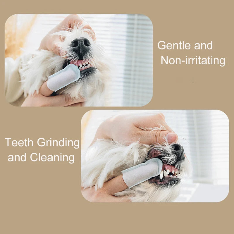 Pet Teeth Cleaning Finger Wipes – Hammashoitoliinat Kissoille & Koirille - FinPaws