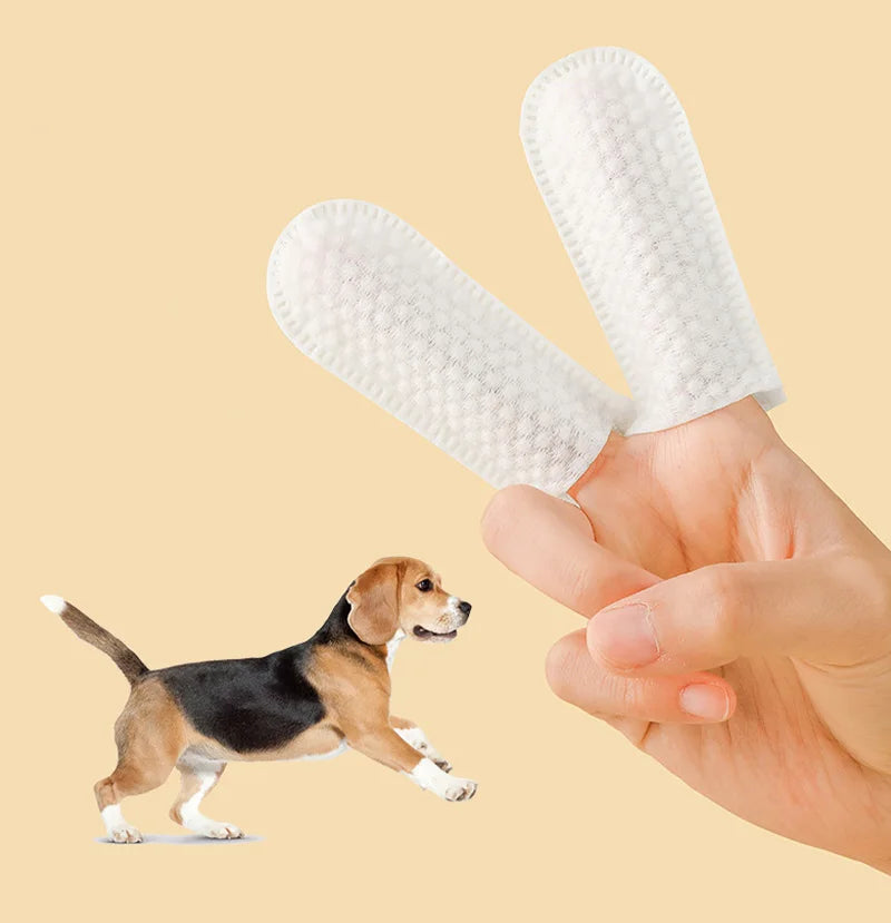 Pet Teeth Cleaning Finger Wipes – Hammashoitoliinat Kissoille & Koirille - FinPaws