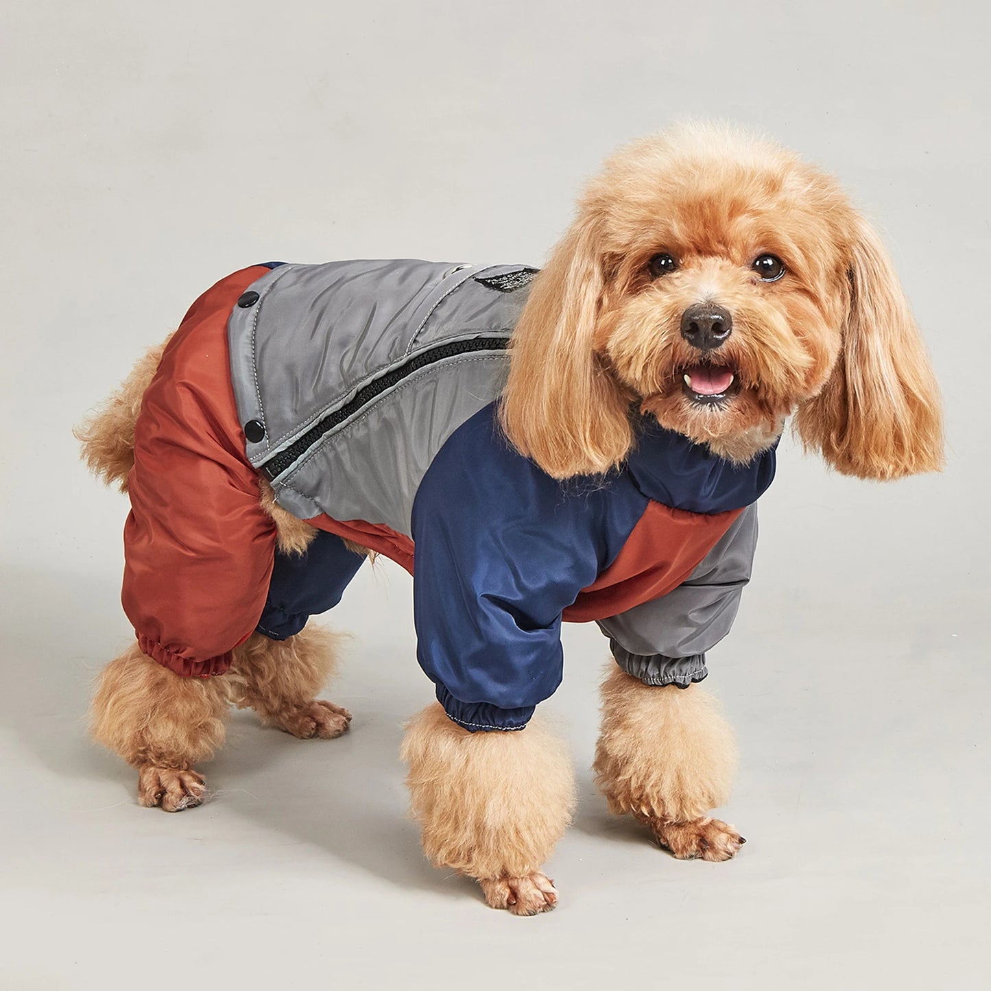 Winter Dog Jacket Warm Thicken Cotton Clothes With Traction Ring Dog Windproof Coat Medium Large Dogs Outdoor Cold Proof Clothes (Copy)