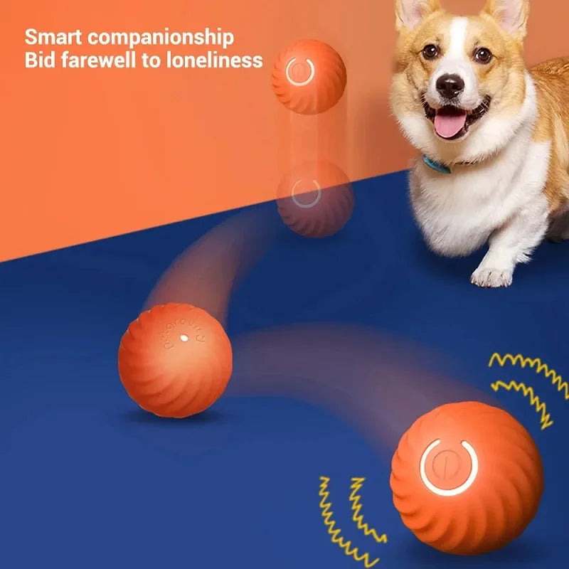 Smart Automatic Dog Toy Ball – Älykäs Automaattinen Koiran Leikkipallo - FinPaws