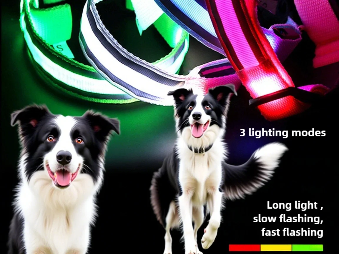 USB Rechargeable LED Pet Collar – Turvallinen LED-lemmikkipanta koirille ja kissoille yölenkeille - FinPaws