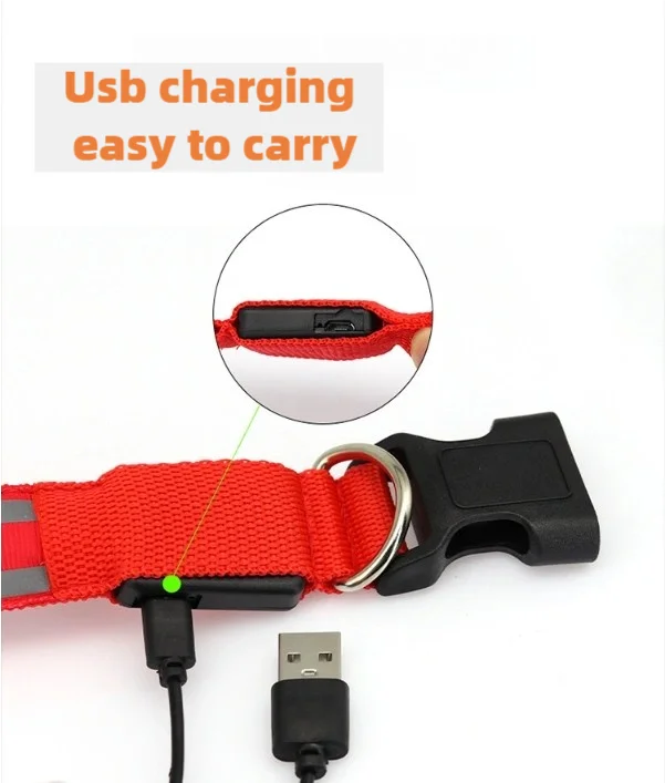 USB Rechargeable LED Pet Collar – Turvallinen LED-lemmikkipanta koirille ja kissoille yölenkeille - FinPaws