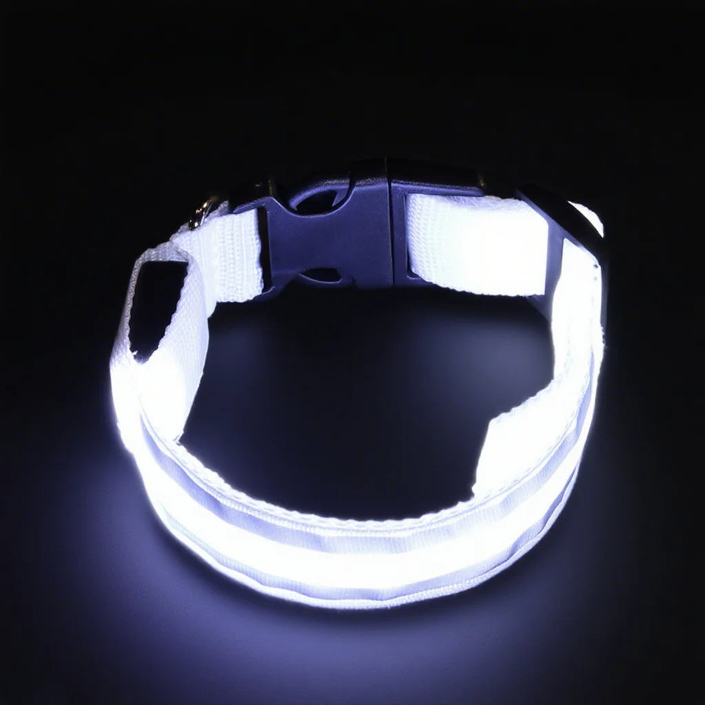 USB Rechargeable LED Pet Collar – Turvallinen LED-lemmikkipanta koirille ja kissoille yölenkeille - FinPaws