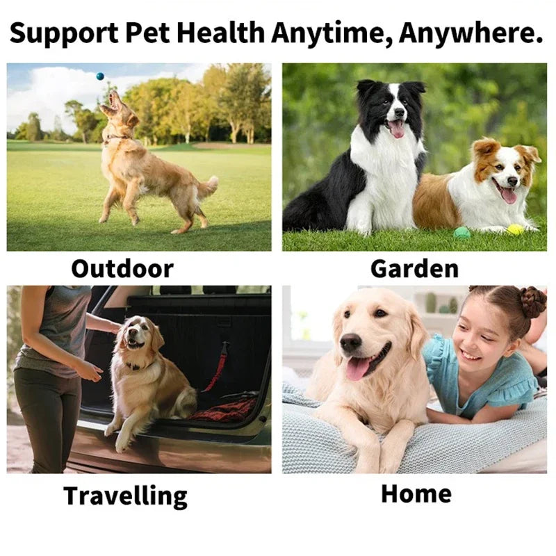 Pet Eye Cleaning Wipes – Gentle Tear Stain Remover for Dogs & Cats | FinPaws BrandBuddy Finland - FinPaws