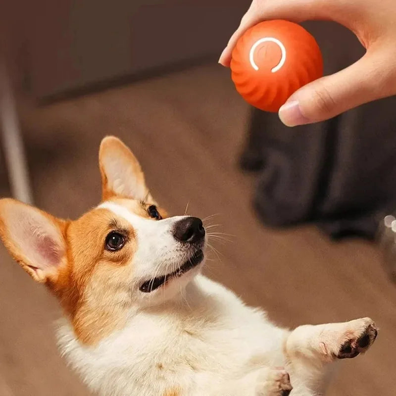 Smart Automatic Dog Toy Ball – Älykäs Automaattinen Koiran Leikkipallo - FinPaws