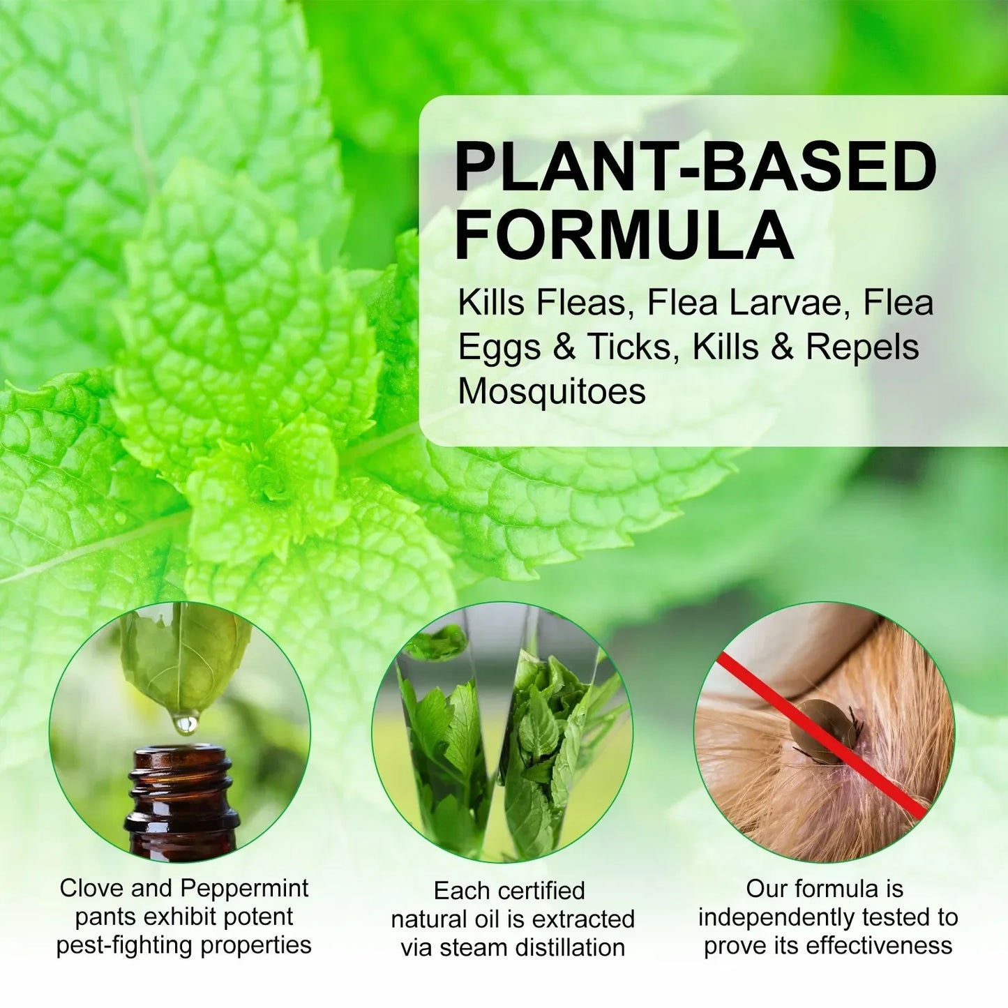 “100ml Natural Pet Care Topical Flea & Tick Spray Remover for Dogs & Cats with Fresh Fragrance (Peppermint Oil & Eugenol)”