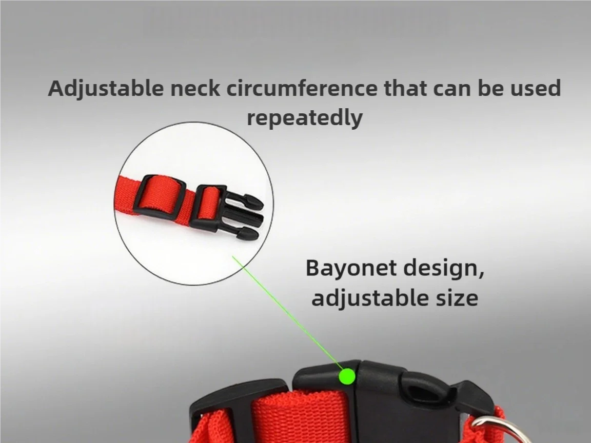 USB Rechargeable LED Pet Collar – Turvallinen LED-lemmikkipanta koirille ja kissoille yölenkeille - FinPaws